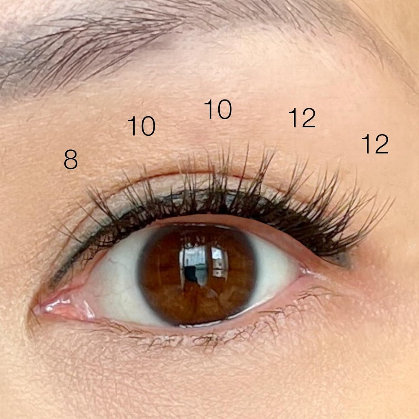 Natural Lash Clusters- Fluffy Classic C-Curl Eyelash Clusters - 29Pcs False Eyelashes for DIY Extensions by