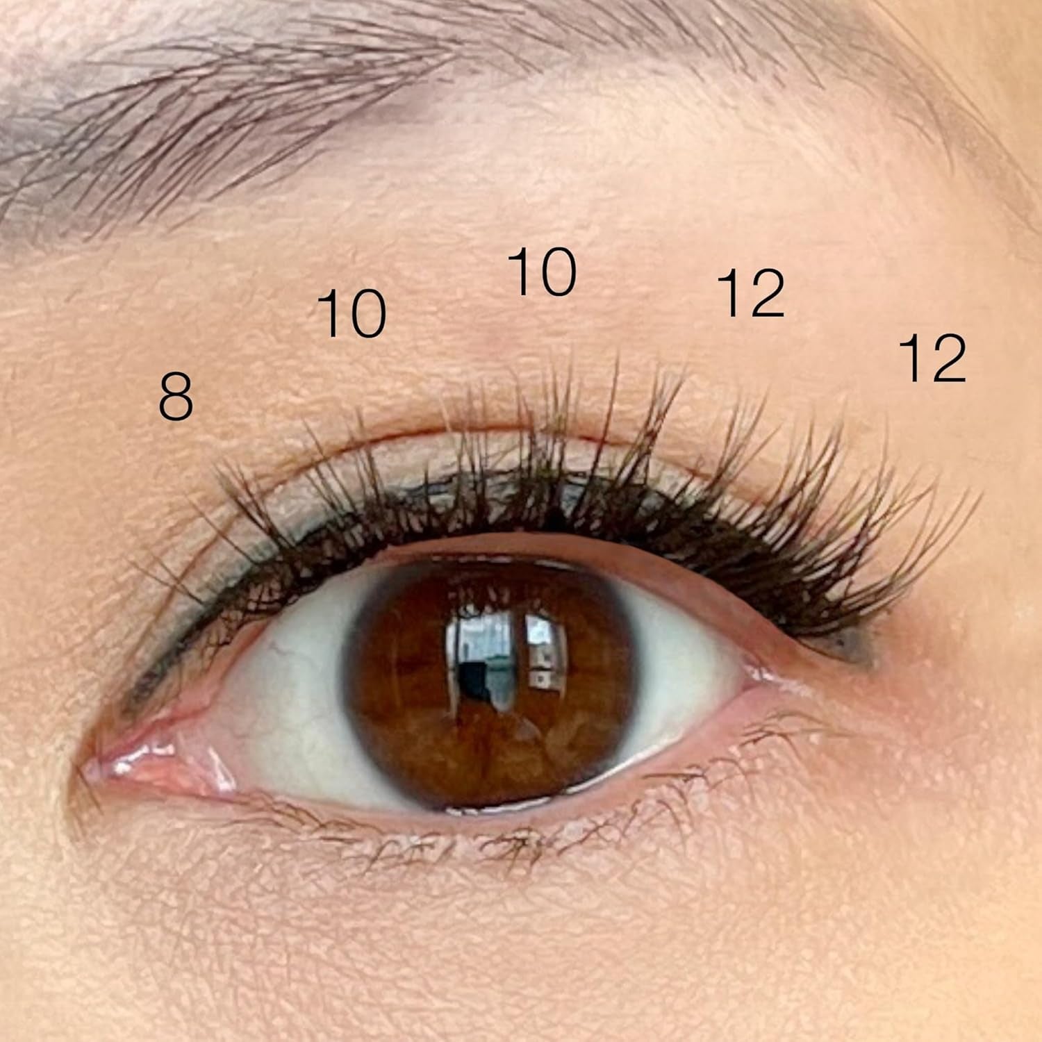 Natural Lash Clusters- Fluffy Classic C-Curl Eyelash Clusters - 29Pcs False Eyelashes for DIY Extensions by