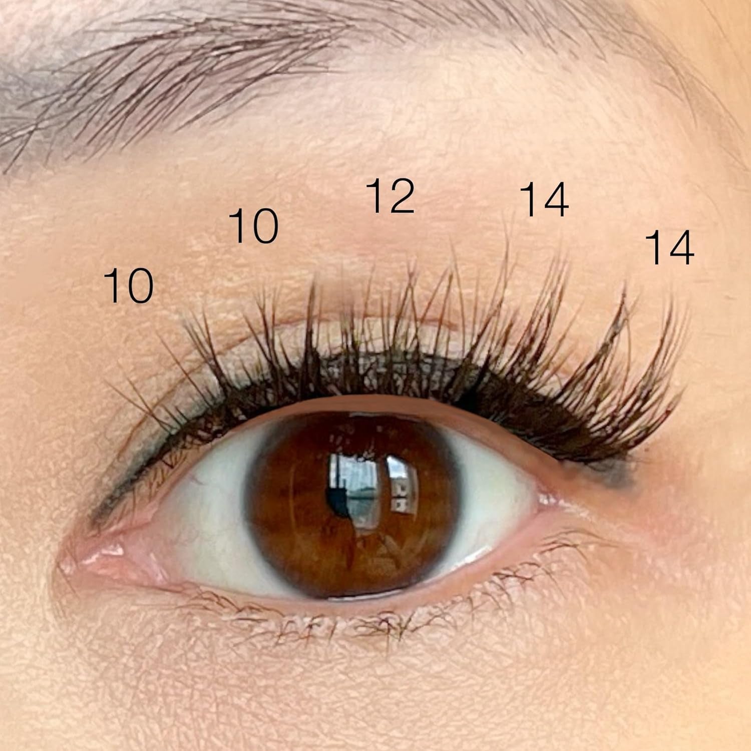 Natural Lash Clusters- Fluffy Classic C-Curl Eyelash Clusters - 29Pcs False Eyelashes for DIY Extensions by