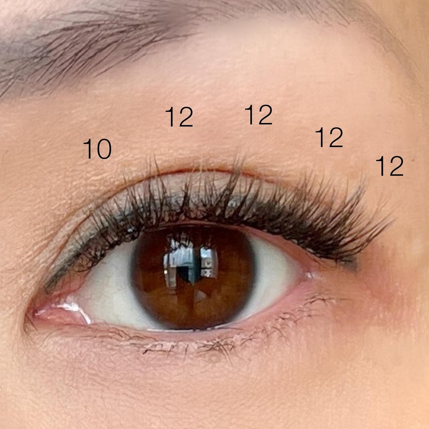 Prettyinthecity C Curl Lash Clusters – 22Pc Natural Individual Lashes (8Mm) – Premium DIY Cluster Lashes